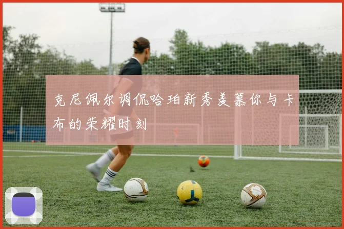 克尼佩尔调侃哈珀新秀羡慕你与卡布的荣耀时刻